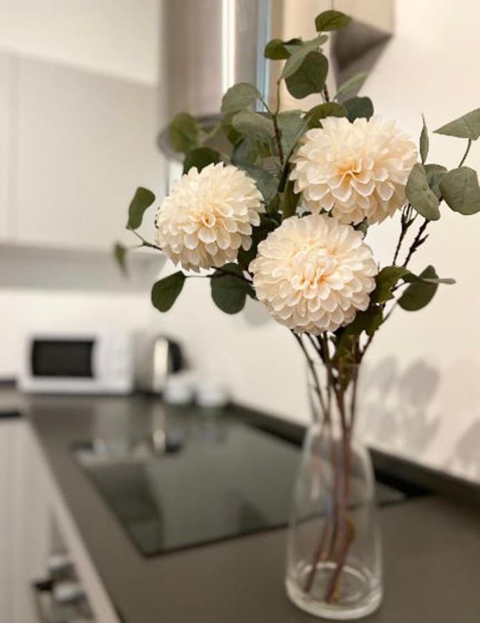 Dolfin Apartment * * * * * Τρεβίζο Εξωτερικό φωτογραφία